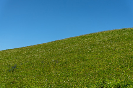 Scenic views of the green hills covered with grass and flowers, blue sky and white clouds on a sunny dayの写真素材