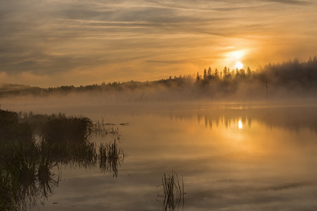 Colorful bright golden sunrise with fog on the lake with beautiful reflections of the clouds, the sun and the trees in the waterの写真素材