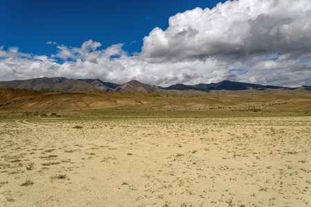 The picturesque steppe desert landscape with mountains and the dry ground with rare plants on a background of blue sky and cloudsの写真素材