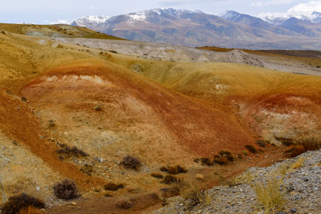 The picturesque steppe desert landscape with multicolored mountains, cracks in the ground and sparse...