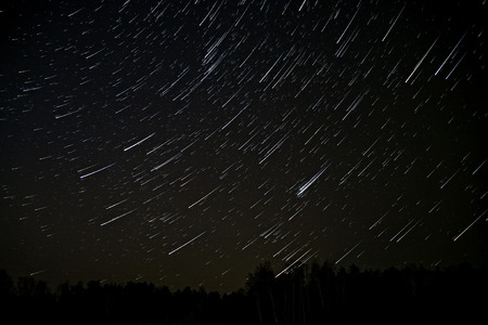 Night landscape with traces of the stars in the night sky on background of a dark forestの写真素材