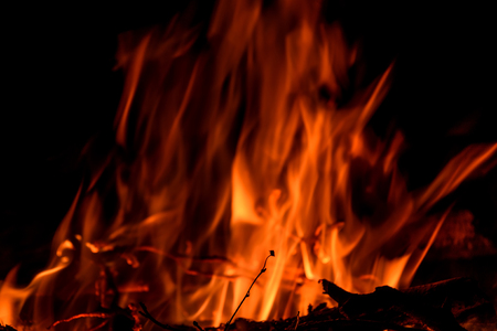 Dry twig on the background of a large red and orange raging flame from a bonfireの写真素材