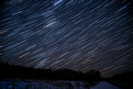 Night landscape with traces of the stars in the night sky on background of a dark forestの写真素材