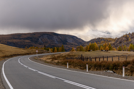 Scenic autumn view with the asphalt road, mountains, forests and a herd of horses on a background of dark storm cloudsの写真素材