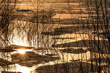 Abstract colorful spring background with ice floating on the water, willow branches and reflections...