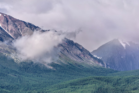 A picturesque view on the mountain peaks in beautiful fluffy clouds and green forests on the slopesの写真素材