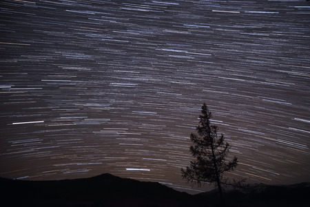 Beautiful night panorama of the starry sky with traces of stars in the form of tracks and spruce on the background of the outlines of the mountainsの写真素材