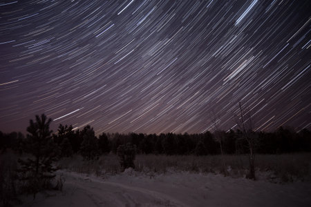 Beautiful night landscape with a winter forest, firs, snowy road and traces of stars on the night...