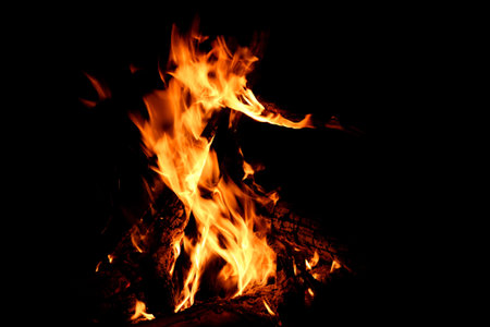 Yellow, red and orange spurts of flames, coal and firewood in a fire of a bonfire on a black...