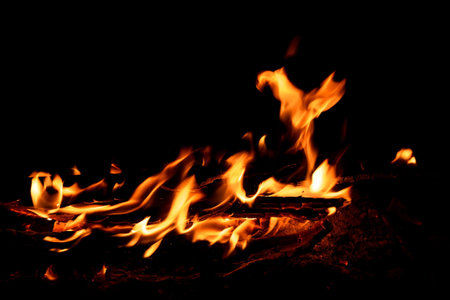 Yellow, red and orange spurts of flames, coal and firewood in a fire of a bonfire on a black...
