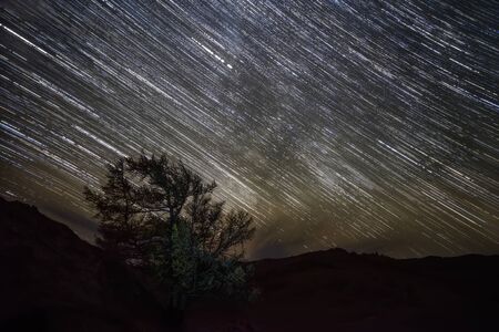 Colorful night landscape with traces of stars and clouds in the night sky on a background of dark contour of mountains and fir treeの写真素材
