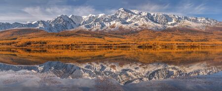 Amazing autumn panorama with mountains covered with snow and forest, golden larch trees and mirror reflection in the lake water against the background of blue sky and clouds. Altai, Russiaの写真素材