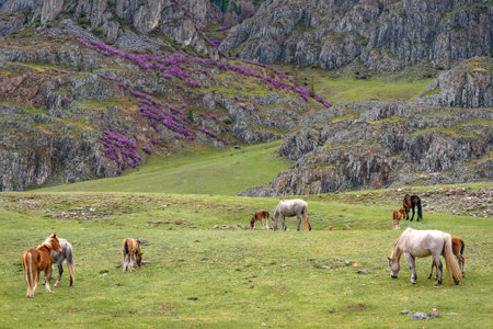 Picturesque spring landscape with a herd of horses with foals grazing in a meadow against the...
