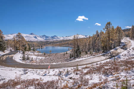 A scenic autumn top view on steep bend of wet asphalt road on pass around a lake with a forest and golden trees against background of snowy mountains and blue sky. Altai, Russiaの写真素材