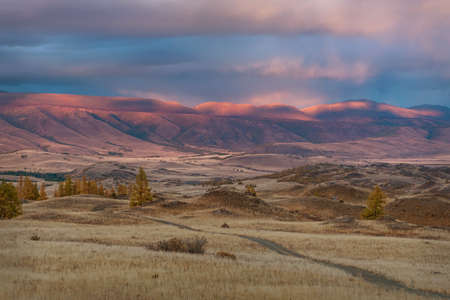 Amazing autumn landscape with a winding dirt road along the mountainside, hills, golden larch trees and beautiful pink storm clouds in the sky at sunsetの写真素材