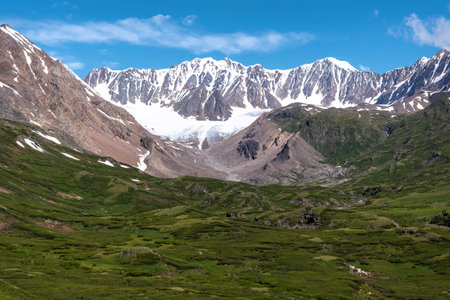 Amazing summer landscape with a valley and hills covered with green dwarf birch, snowy mountains and a glacier against a blue sky and clouds. Altai, Russiaの写真素材