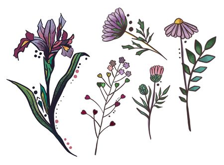 Wild flowers. White background. Vector illustrationのイラスト素材