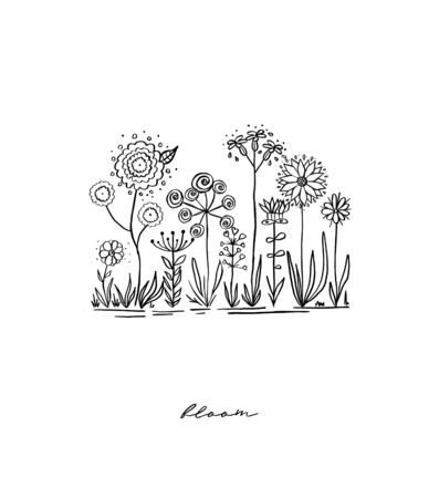 Wild flowers. Samples. White background. High quality illustrationの写真素材