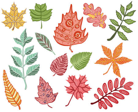 Autumn leaves pattern, seamless backgroundのイラスト素材