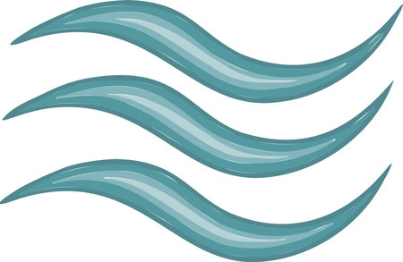 Aquarius turquoise wave sea icon, symbol and  Vector illustration