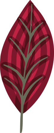 Leaf plant tree colorful drawing illustration symbol. Vector illustrationのイラスト素材