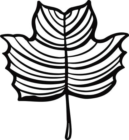 Leaf plant tree line drawing illustration symbol. Vector illustrationのイラスト素材