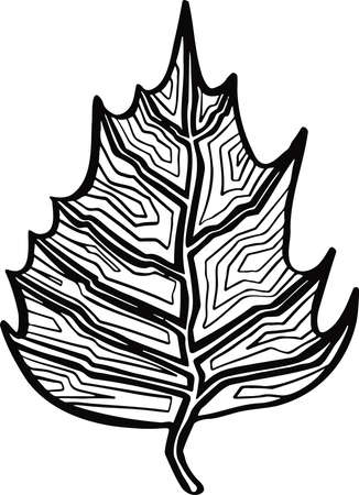 Leaf plant tree line drawing illustration symbol. Vector illustrationのイラスト素材