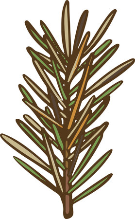 symbol new year or christmas tree branch. Vector illustrationのイラスト素材