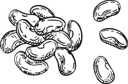 Vector illustration Bunch of wine grapes with leaf - symbol, icon, package design element, abstract ornamental pattern on white background. Vector illustration. Vector illustrationのイラスト素材