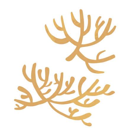 Set of marine vector plants, hand drawn algae. vector illustrationのイラスト素材