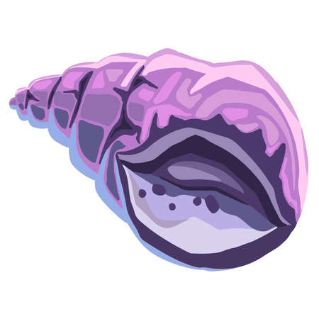 Line seashell symbol hand drawn. vector illustration. vector illustrationのイラスト素材