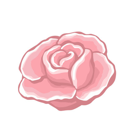 Rose, bud flower rose color blooming illustration vector. vector illustrationのイラスト素材