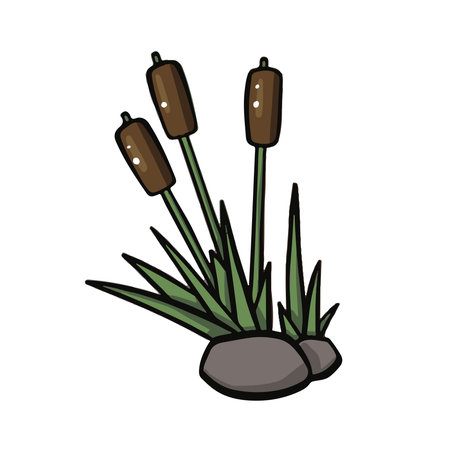 cartoon reeds, thicket vector color illustrationのイラスト素材