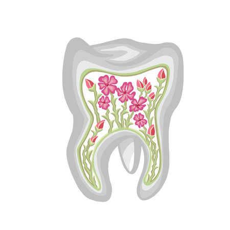 Healthy oral flora, tooth, Color Vectorのイラスト素材