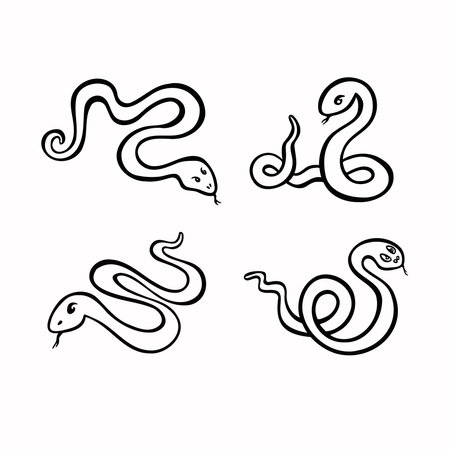 Set vector graphic illustrations of linear snakesのイラスト素材