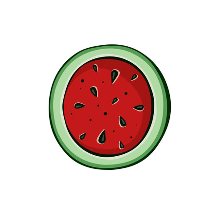 Half of watermelon, hand drawn cut fruit, with transparent background, illustrationのイラスト素材