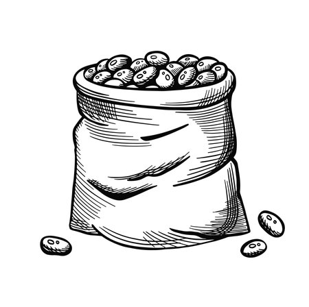 Bag of soybeans, rice. Hand drawn vector illustration. Vector illustrationのイラスト素材
