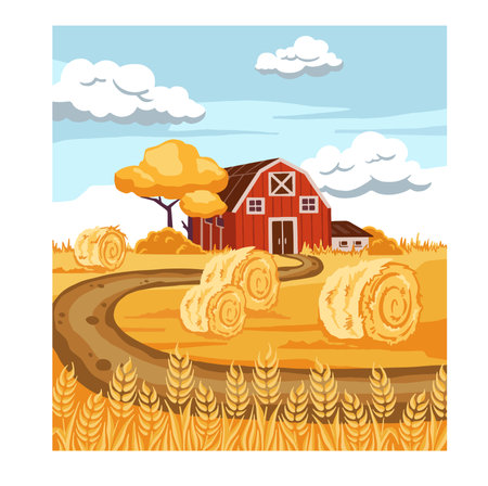 Vector cartoon drawing of autumn farmland, haystack and rye. illustrationのイラスト素材