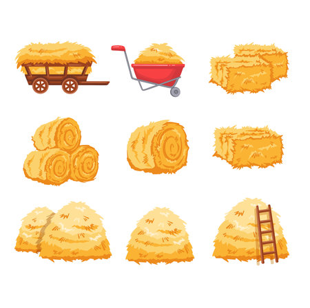 Set with hay colored cartoon symbol. vectorのイラスト素材
