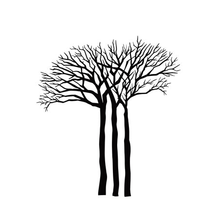 hand drawn naked tree silhouettes isolated on white background. Vectorのイラスト素材