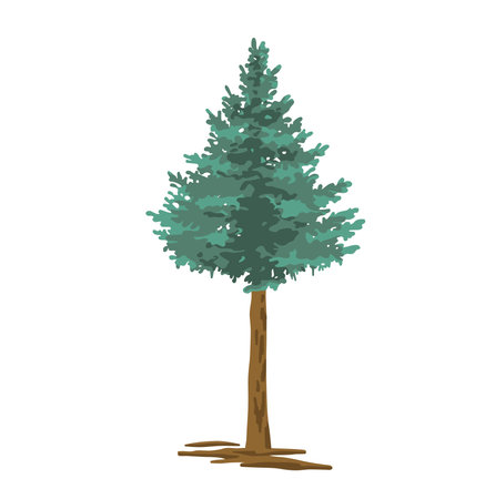 simple illustration of a tree, spruce, pine or spruce.のイラスト素材