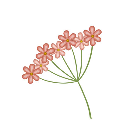 Gypsophila light pink. Doodle style hand drawnのイラスト素材