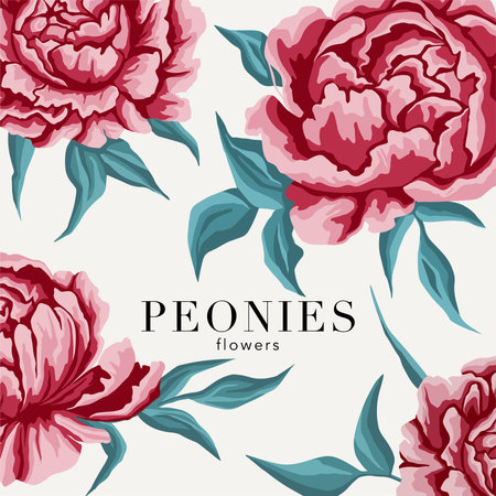 postcard floral floristry Peony flowerのイラスト素材