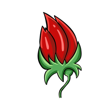 Red flower bud plant vector illustrationのイラスト素材