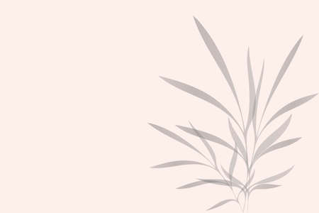 Leaves shadow background. The effect of overlaying shadows. Vector texture for background, wallpaper, own design.のイラスト素材