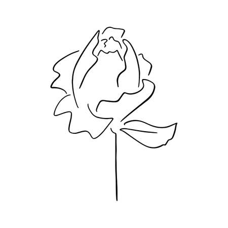 Abstract flower is drawn with one line. Vector illustration for the design of invitations, business cards, cosmetics.のイラスト素材