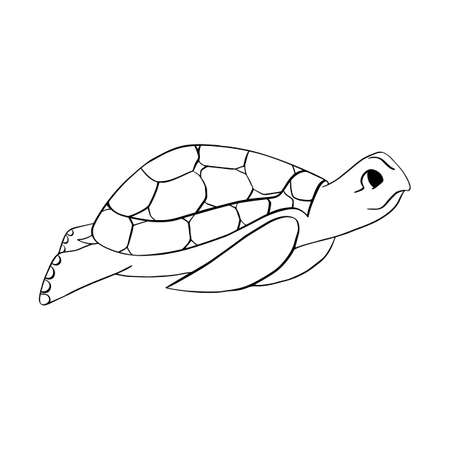 Turtle. Childrens contour illustration. Doodle style. Vector. Childrens coloringのイラスト素材