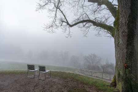 Foggy morning in Bern with a view of the meadow and silhouettes of treesの写真素材