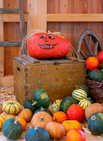 Pumpkin with a painted smile. Autumn harvest of pumpkins.の写真素材