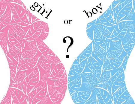 pregnancy who have a boy or a girlのイラスト素材